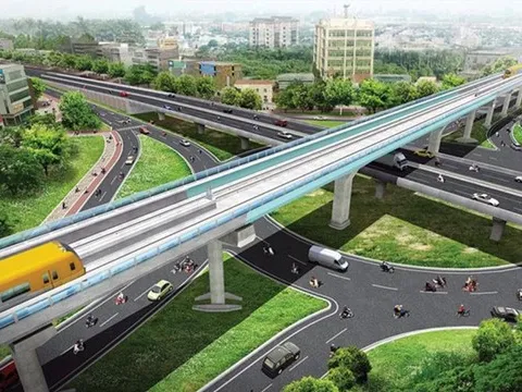 Ưu tiên tối đa việc bảo tồn, dịch chuyển cây xanh phục vụ thi công Dự án đường sắt đô thị tuyến số 5 Hà Nội