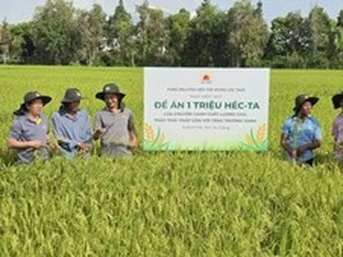 Bài 1: Người trồng lúa đã dám làm khác
