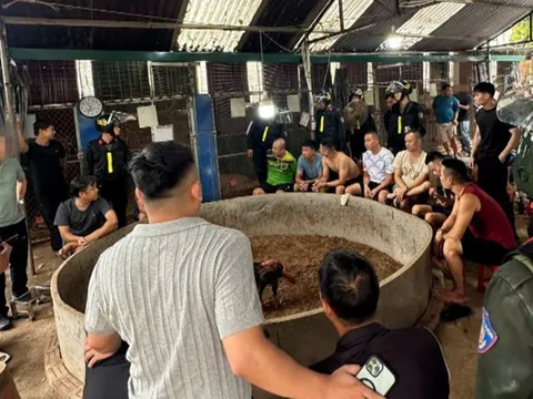 Triệt xóa điểm cá cược đá gà quy mô lớn ở Lạng Sơn
