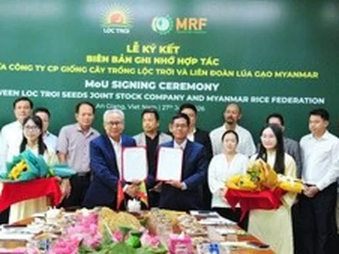 Lộc Trời đưa giống lúa Việt Nam sang Myanmar, mở rộng chuỗi giá trị lúa gạo khu vực