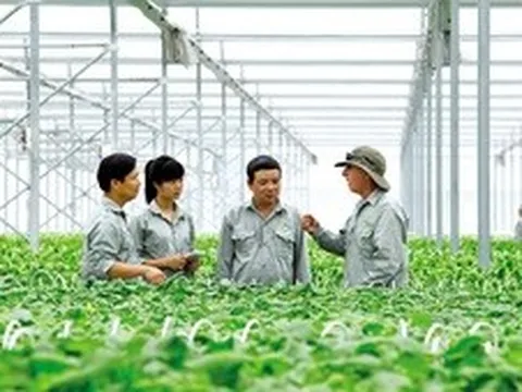 Chính sách của nhà nước về phát triển tổ hợp tác