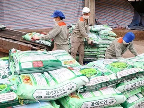 Supe Lâm Thao báo lãi quý II giảm gần 87%