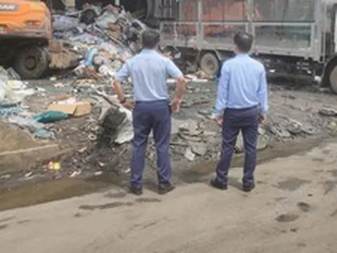 Tiêu hủy gần 76.000 hộp bột rau vi phạm chất lượng
