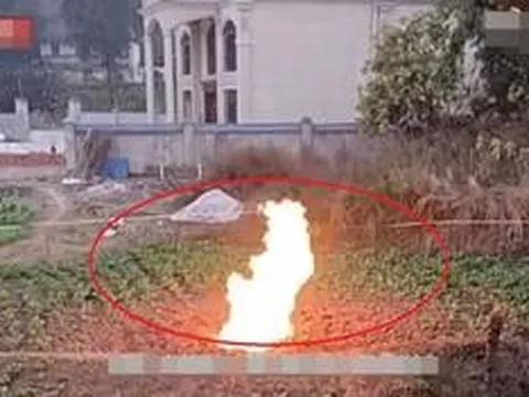 "Hiện tượng lạ" xuất hiện giữa cánh đồng, người dân ùn ùn kéo đến xem