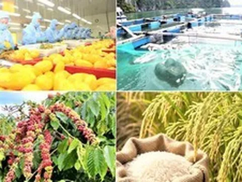 Hành động quyết liệt để đưa xuất khẩu nông, lâm, thủy sản vượt mốc 74 tỷ USD