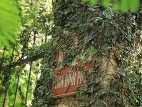 Hiện trạng ngôi nhà của Hoàng Thái hậu cuối cùng triều Nguyễn chờ ngày "hồi sinh"