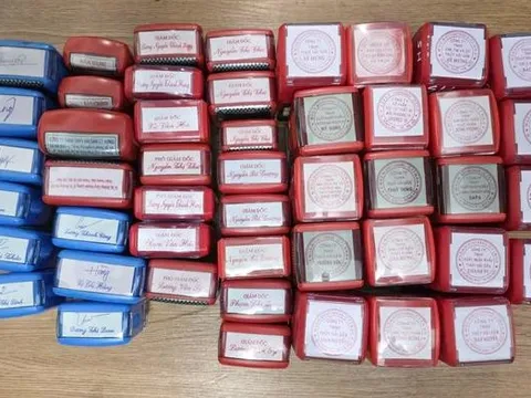 Chi cục trưởng Thú y vùng I bị khởi tố trong vụ buôn lậu thủy sản