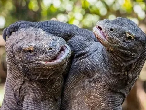 Đang đi dạo, nam thanh niên phát hiện cảnh tượng "nổi da gà" dưới sông