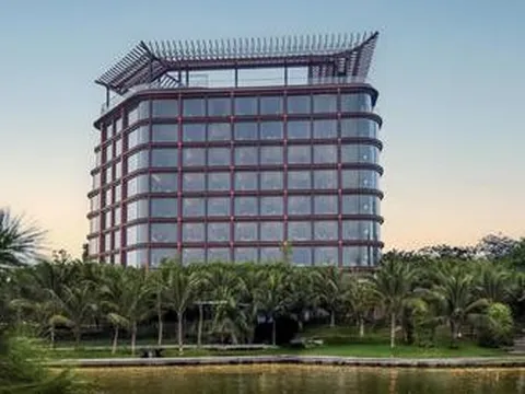 Doanh thu 6 tháng năm 2026 của OCH đạt mức kỷ lục trong 20 năm