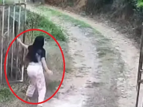 Đang ở nhà, người phụ nữ chết lặng khi thấy cảnh tượng "đáng sợ" ngay trước cổng
