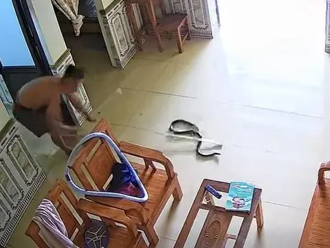Nghe tiếng động lạ, cô gái bàng hoàng phát hiện rắn rơi từ điều hòa xuống phòng ngủ
