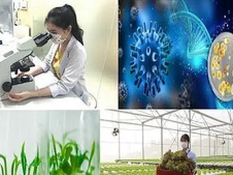 Phát triển công nghiệp sinh học ngành nông nghiệp và môi trường