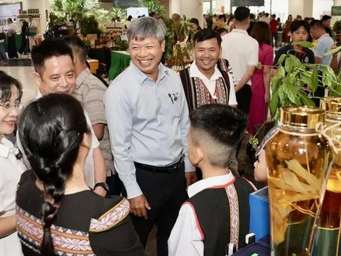 Phó Chủ tịch Đà Nẵng: Phải đi nhanh hơn để sâm Ngọc Linh cạnh tranh với thế giới