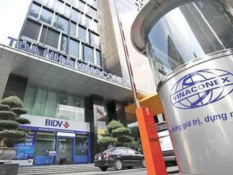 Dòng tiền kinh doanh của Vinaconex âm hơn 1.300 tỷ đồng