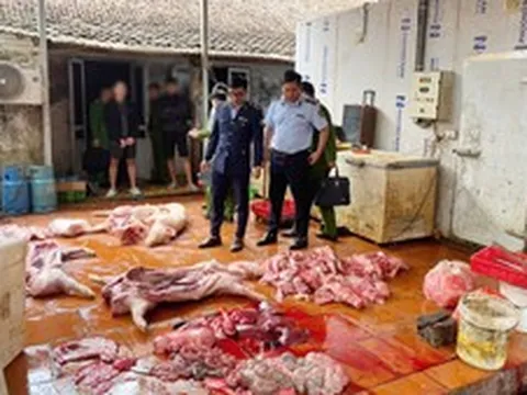 Chuyển cơ quan điều tra vụ gần 1 tấn thịt lợn nghi nhiễm dịch tả lợn châu Phi tại Hưng Yên