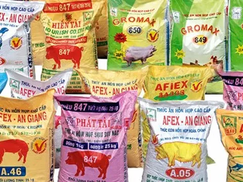 Doanh thu tài chính khởi sắc, Afiex tăng gần 40% lợi nhuận