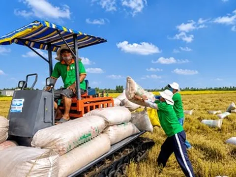 Nợ vay của Xuất nhập khẩu Kiên Giang tăng gấp 5 lần sau nửa đầu năm 2026