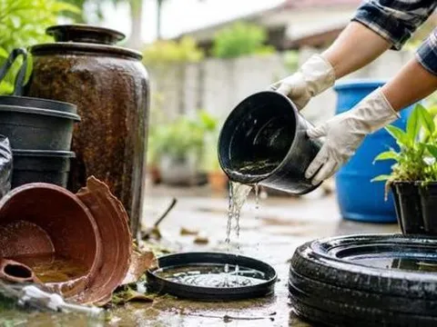 7 mẹo đơn giản giúp cắt đứt nơi sinh sản của muỗi khi mùa mưa đến