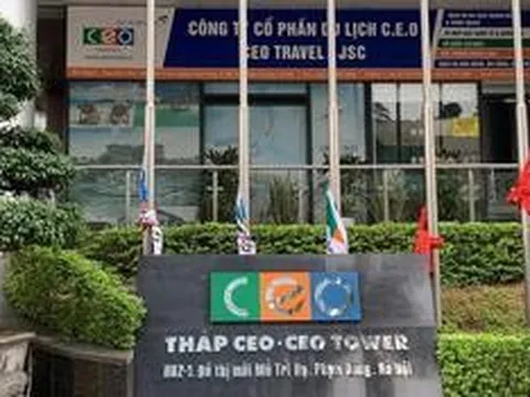 CEO Group báo lãi tăng song dòng tiền kinh doanh tiếp tục âm