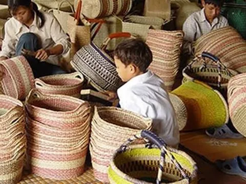 Thuê lao động chưa thành niên không có sự đồng ý của cha mẹ, doanh nghiệp có thể bị phạt 50 triệu đồng
