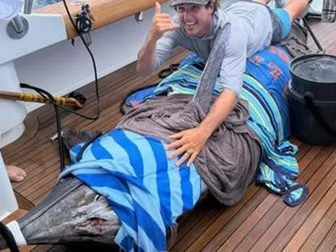 Ngư dân câu được con cá cờ xanh khổng lồ nặng 417kg trên biển