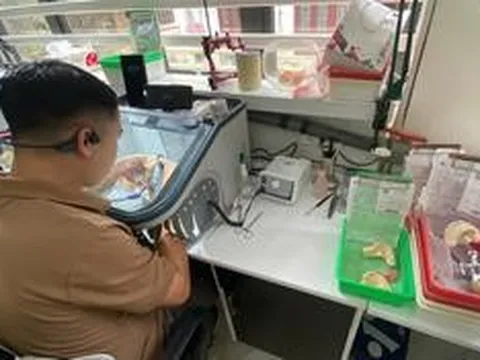 Hà Nội kiểm tra loạt cơ sở sản xuất, kinh doanh răng giả, xử phạt hơn 1,3 tỷ đồng