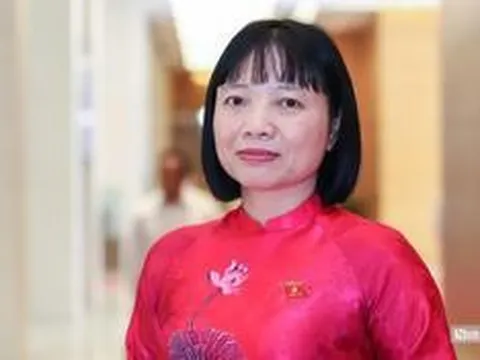 Cấm trưng bày thuốc lá phải đi cùng kiểm soát thị trường bất hợp pháp