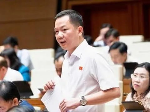 Kiến nghị đưa kim cương vào ngành nghề kinh doanh có điều kiện