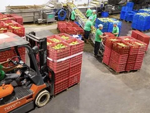 Antesco lãi hơn 64 tỷ đồng sau 6 tháng, nợ phải trả vượt 1.152 tỷ đồng