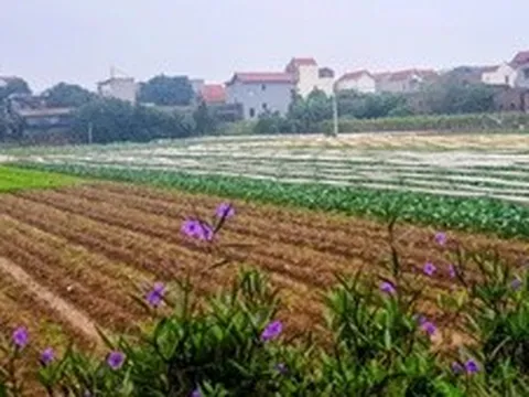 Đẩy nhanh hoàn thiện cơ sở dữ liệu đất đai, Hà Nội bước vào giai đoạn 'nước rút'
