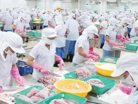 Doanh thu "bốc hơi" 74%, Thủy sản Mekong vẫn báo lãi gấp 3 lần cùng kỳ