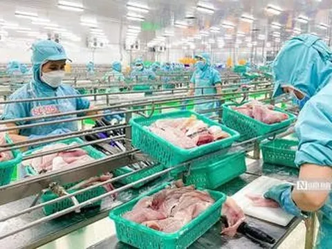 Tập đoàn Sao Mai báo lãi tăng gần 3 lần trong nửa đầu năm 2026