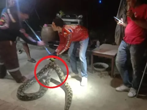 Đang ngồi trong nhà, người dân bất ngờ thấy cảnh tượng "nổi da gà", cả làng kéo đến xem