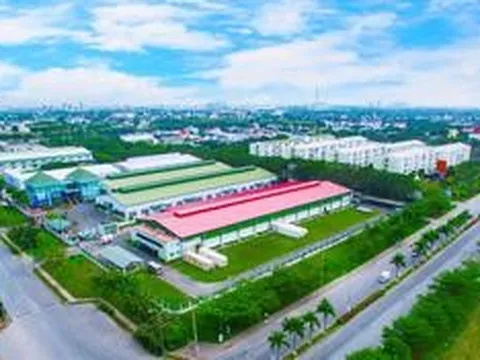 Long Hậu sắp chi hơn 105 tỷ đồng trả cổ tức tiền mặt