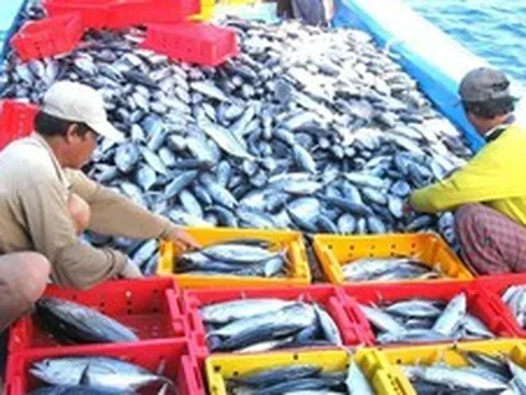 MỤC TIÊU XUẤT KHẨU NÔNG SẢN 100 TỶ USD: Nhận diện những 'nút thắt' để xuất khẩu thủy sản về đích