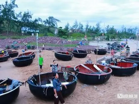 Bỏ túi tiền triệu nhờ nghề “thức cùng biển đêm” ở xứ Nghệ