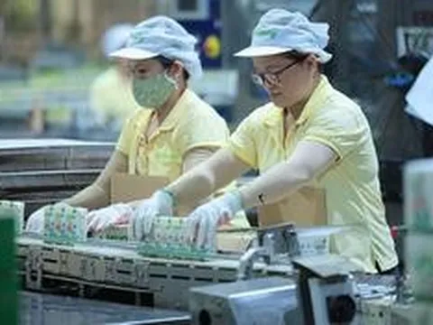 Chủ thương hiệu sữa đậu nành Vinasoy lãi gần 1.000 tỷ đồng, sắp chi hơn 367 tỷ đồng cổ tức