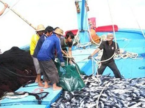 Kế hoạch khắc phục khuyến nghị của EC về chống khai thác IUU
