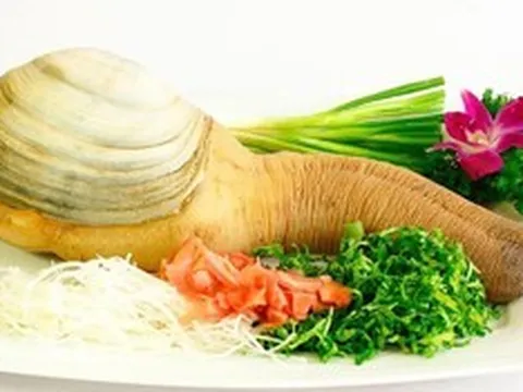 Loài ốc có tên nghe lạ tai và hình dáng đặc biệt, gây chú ý nhờ phần thịt giòn ngọt