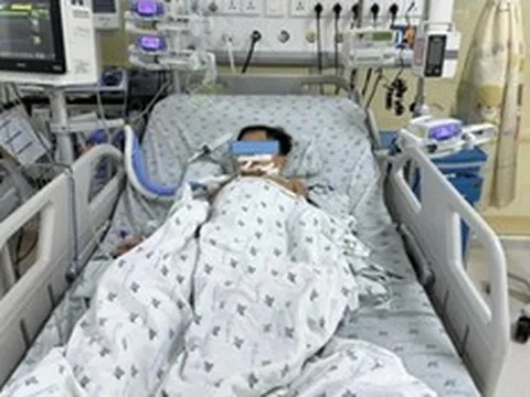 Ăn thịt chuột, ba chị em nguy kịch