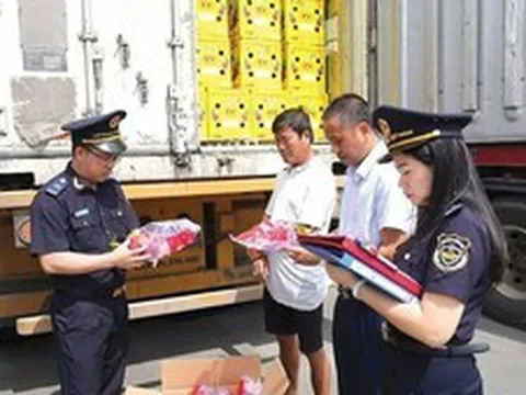 Nghỉ lễ 2/9 dài 5 ngày, hải quan trực 24/7 thông quan hàng hóa