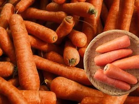 Loại củ quen thuộc được ví như "thực phẩm vàng" cho đôi mắt, chế biến đúng cách càng tốt