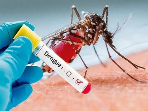 Người dân không chủ quan với dịch sốt xuất huyết