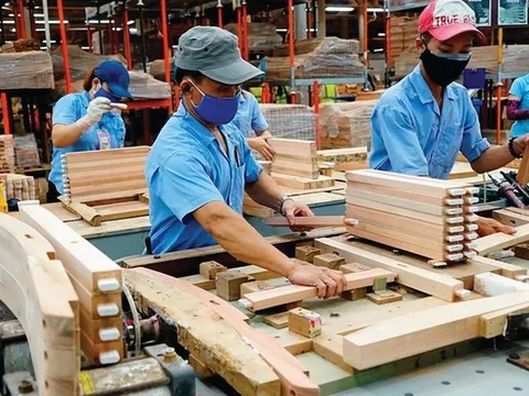 Ngành gỗ quý II/2026 ghi nhận những gam màu trái chiều