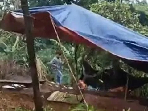 Vụ nhân viên thư viện trường tiểu học tử vong: Bất ngờ danh tính hung thủ