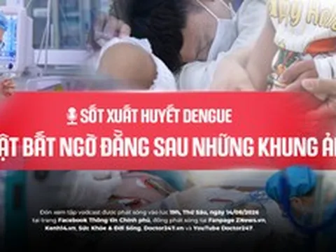 Sốt xuất huyết Dengue: Sự thật bất ngờ đằng sau những khung ảnh