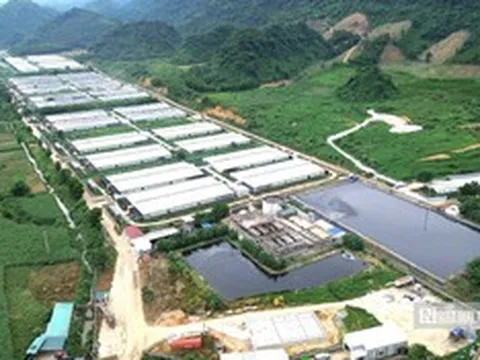Tỉnh Thanh Hóa vào cuộc vụ sông Ngang chuyển màu đen