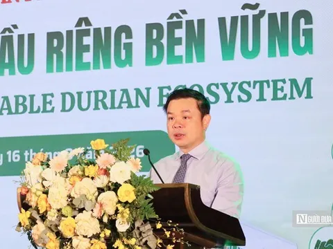 Ngành sầu riêng Đắk Lắk lấy chất lượng, hiệu quả, đổi mới làm động lực cốt lõi