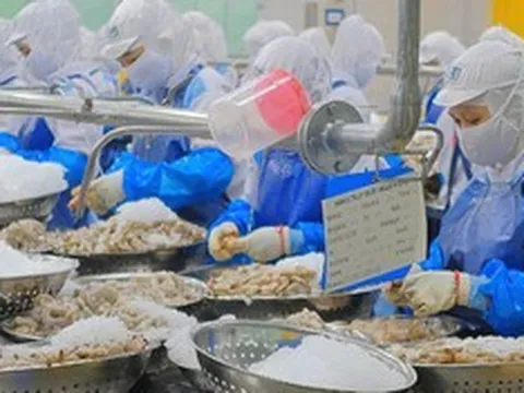 Những cú bẻ lái lợi nhuận của doanh nghiệp thủy sản trong quý II/2026