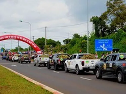 Phân bón Cà Mau góp phần đưa sầu riêng Đắk Lắk khẳng định vị thế trên thị trường nông sản